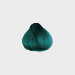 Herman's Amazing Tammy Turquoise