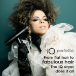 IQ Perfetto Hairdryer